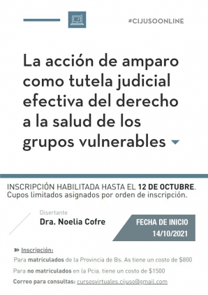 LA ACCION DE AMPARO